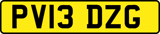 PV13DZG