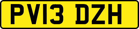 PV13DZH