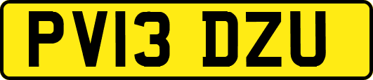 PV13DZU