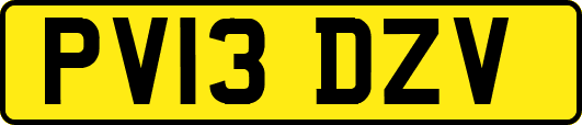 PV13DZV