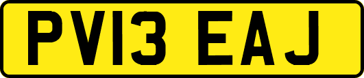 PV13EAJ