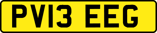 PV13EEG