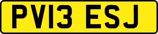 PV13ESJ
