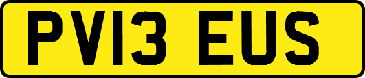 PV13EUS