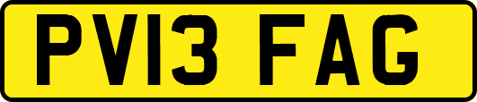 PV13FAG