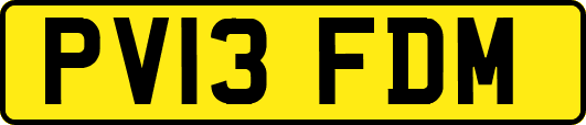 PV13FDM