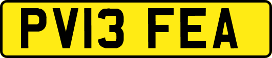 PV13FEA