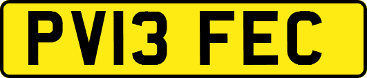 PV13FEC