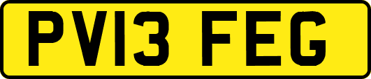 PV13FEG