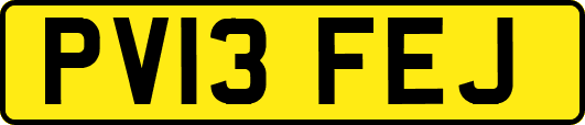PV13FEJ