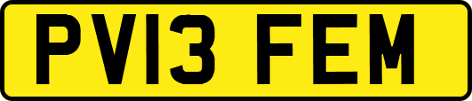 PV13FEM