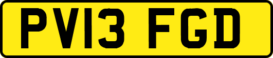 PV13FGD