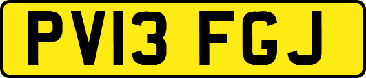 PV13FGJ