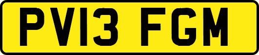 PV13FGM
