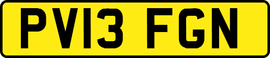 PV13FGN