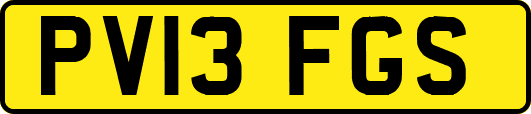 PV13FGS
