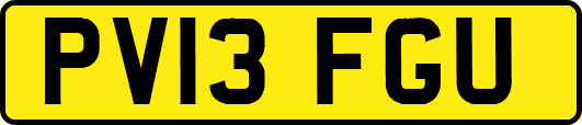 PV13FGU