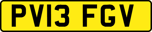 PV13FGV