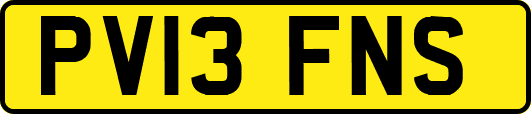 PV13FNS