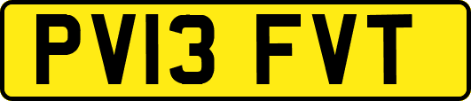 PV13FVT