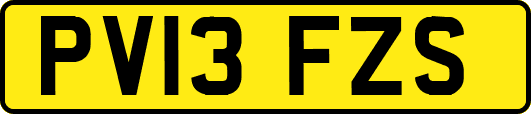 PV13FZS