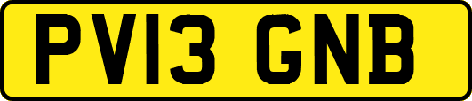 PV13GNB