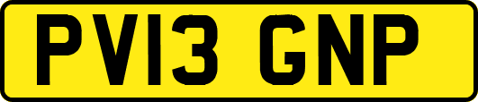 PV13GNP