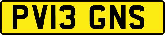 PV13GNS