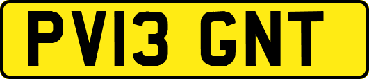 PV13GNT