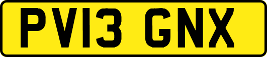 PV13GNX