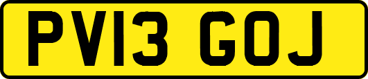 PV13GOJ