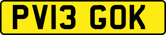 PV13GOK
