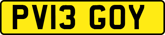 PV13GOY
