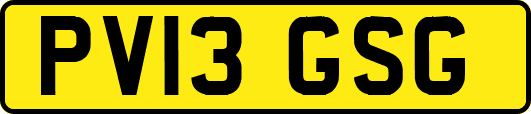 PV13GSG