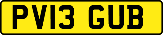 PV13GUB