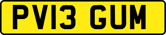 PV13GUM
