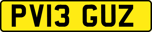 PV13GUZ