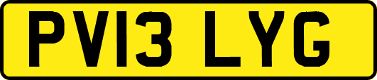 PV13LYG