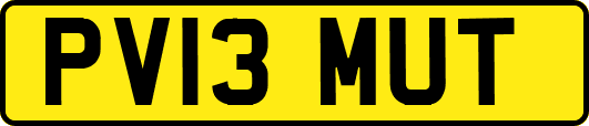 PV13MUT