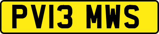 PV13MWS