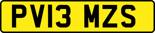 PV13MZS
