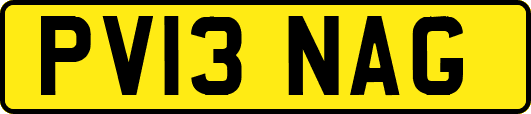 PV13NAG