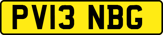 PV13NBG