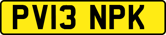 PV13NPK