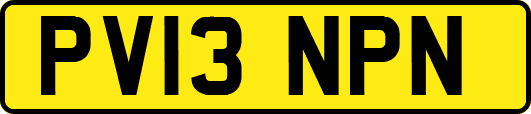 PV13NPN