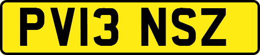 PV13NSZ