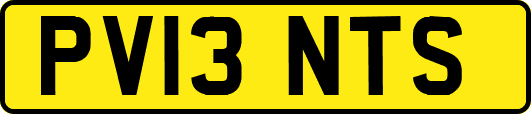 PV13NTS