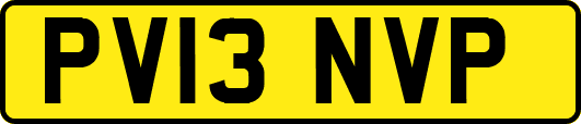 PV13NVP