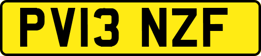 PV13NZF