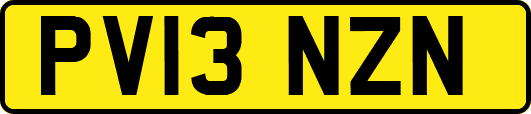 PV13NZN